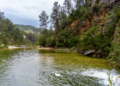 Río de montaña desbordado arrastrando escombros tras lluvias torrenciales en zona montañosa.