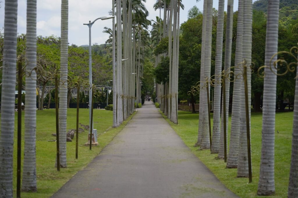 Parque urbano con arboleda y senderos peatonales, imagen representativa de infraestructura verde en la Ciudad de Buenos Aires