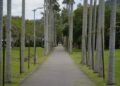 Parque urbano con arboleda y senderos peatonales, imagen representativa de infraestructura verde en la Ciudad de Buenos Aires