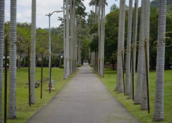 Parque urbano con arboleda y senderos peatonales, imagen representativa de infraestructura verde en la Ciudad de Buenos Aires
