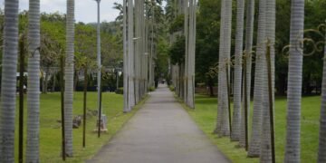Parque urbano con arboleda y senderos peatonales, imagen representativa de infraestructura verde en la Ciudad de Buenos Aires