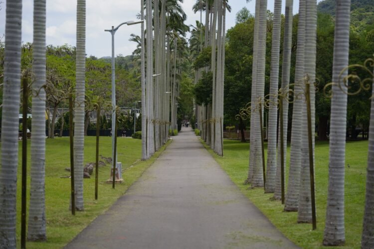Parque urbano con arboleda y senderos peatonales, imagen representativa de infraestructura verde en la Ciudad de Buenos Aires