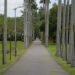Parque urbano con arboleda y senderos peatonales, imagen representativa de infraestructura verde en la Ciudad de Buenos Aires