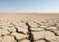 Campo agrícola europeo agrietado por sequía extrema durante las olas de calor del verano 2026.