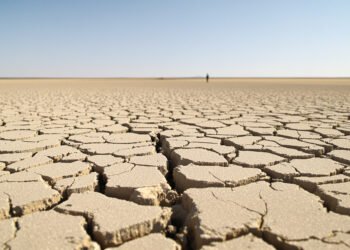 Campo agrícola europeo agrietado por sequía extrema durante las olas de calor del verano 2026.