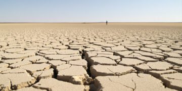 Campo agrícola europeo agrietado por sequía extrema durante las olas de calor del verano 2026.