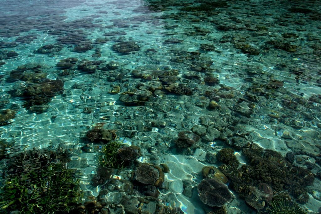 Arrecife de coral en una isla del Pacífico, región en primera línea de la crisis climática que reclama mantener el límite de