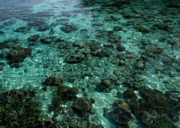 Arrecife de coral en una isla del Pacífico, región en primera línea de la crisis climática que reclama mantener el límite de
