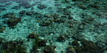 Arrecife de coral en una isla del Pacífico, región en primera línea de la crisis climática que reclama mantener el límite de