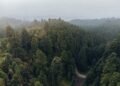 Vista aérea de un bosque protegido, símbolo de los esfuerzos de conservación de biodiversidad que los países discutirán en la