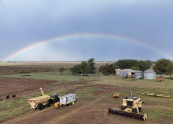 Vista aérea de campos agrícolas en la región pampeana argentina.