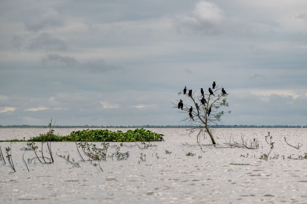 Vista aérea del delta del río Paraná con humedales y vegetación ribereña, ecosistema clave de la cuenca compartida por Argent