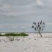 Vista aérea del delta del río Paraná con humedales y vegetación ribereña, ecosistema clave de la cuenca compartida por Argent