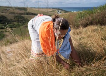 Un informe indígena advierte que los créditos de biodiversidad en la COP17 impulsan desalojos