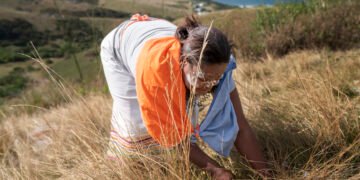 Un informe indígena advierte que los créditos de biodiversidad en la COP17 impulsan desalojos