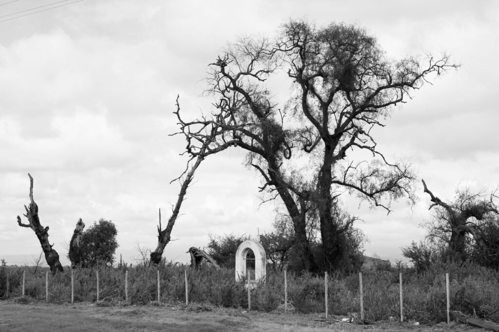 Tranquera de campo rural en Argentina con alambrado perimetral.