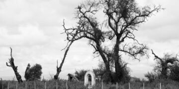 Tranquera de campo rural en Argentina con alambrado perimetral.