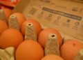 Maple de huevos de gallinas en un contexto de producción, ilustrando la discusión sobre sistemas de cría en Argentina.