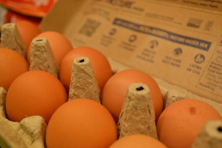 Maple de huevos de gallinas en un contexto de producción, ilustrando la discusión sobre sistemas de cría en Argentina.