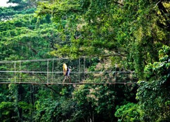 Vista aérea del bosque amazónico, hogar de pueblos indígenas en aislamiento voluntario en América Latina.