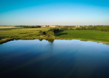 Vista aérea de un humedal rodeado de pastizales y espejos de agua al atardecer, representativo de reservas naturales urbanas