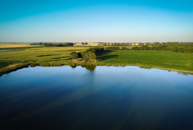 Vista aérea de un humedal rodeado de pastizales y espejos de agua al atardecer, representativo de reservas naturales urbanas