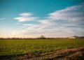 Campo agroecológico en zona rural, sin aplicaciones de agrotóxicos, representando el modelo que impulsa Sastre