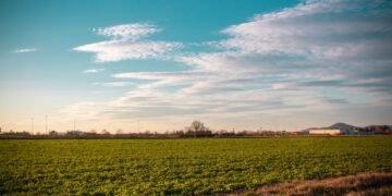 Campo agroecológico en zona rural, sin aplicaciones de agrotóxicos, representando el modelo que impulsa Sastre