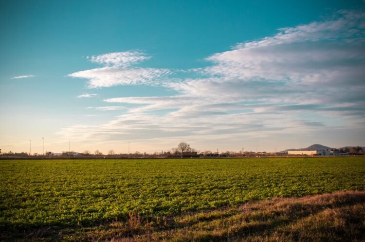 Campo agroecológico en zona rural, sin aplicaciones de agrotóxicos, representando el modelo que impulsa Sastre