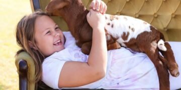 ¡Histórico! La Legislatura porteña aprobó la Ley Compasión: las escuelas deberán enseñar el respeto y la protección de los animales