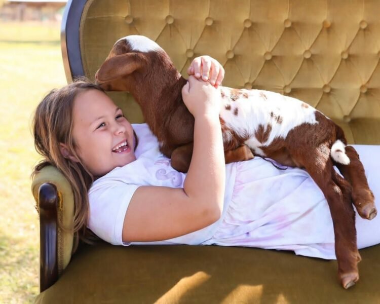 ¡Histórico! La Legislatura porteña aprobó la Ley Compasión: las escuelas deberán enseñar el respeto y la protección de los animales