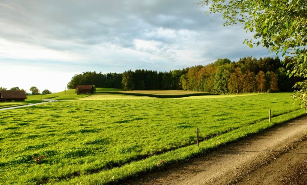 Paneles solares instalados en campo agrícola de zona rural de Estados Unidos.
