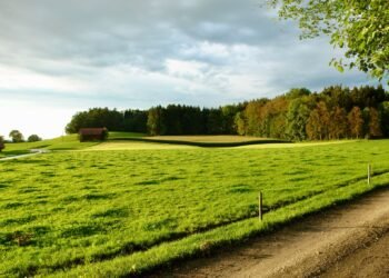 Paneles solares instalados en campo agrícola de zona rural de Estados Unidos.