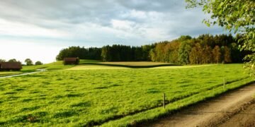 Paneles solares instalados en campo agrícola de zona rural de Estados Unidos.