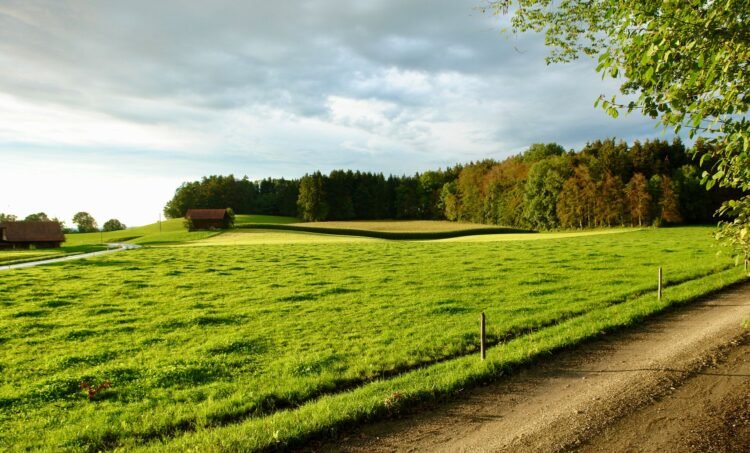 Paneles solares instalados en campo agrícola de zona rural de Estados Unidos.