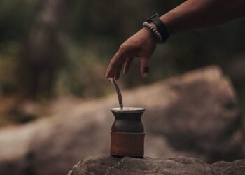 Plantación de yerba mate en Misiones, provincia donde los productores reclaman contra el DNU 70/2023.