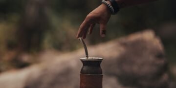 Plantación de yerba mate en Misiones, provincia donde los productores reclaman contra el DNU 70/2023.