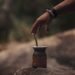 Plantación de yerba mate en Misiones, provincia donde los productores reclaman contra el DNU 70/2023.